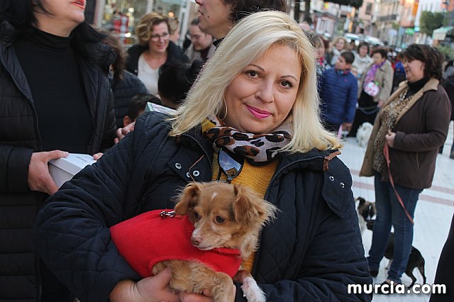 Bendicin de animales San Antn Totana 2020 - 300