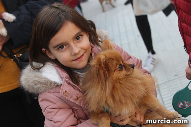 Bendicin de animales San Antn Totana 2020 - 301