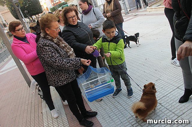 Bendicin de animales San Antn Totana 2020 - 303