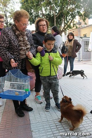 Bendicin de animales San Antn Totana 2020 - 304