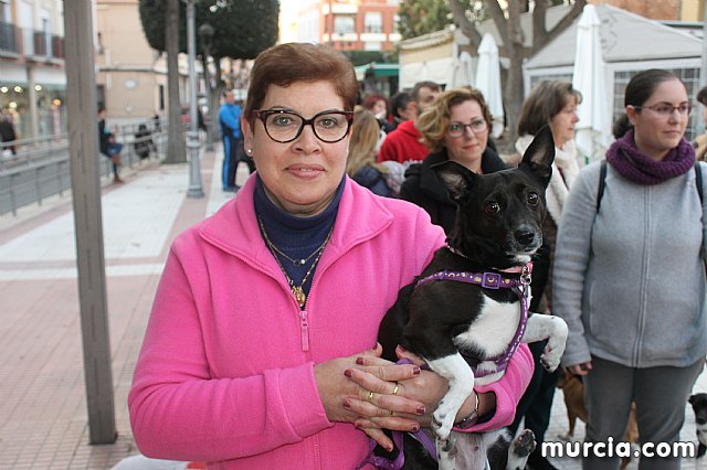 Bendicin de animales San Antn Totana 2020 - 307