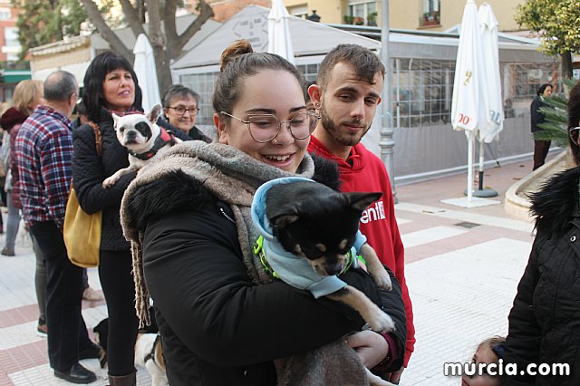 Bendicin de animales San Antn Totana 2020 - 309