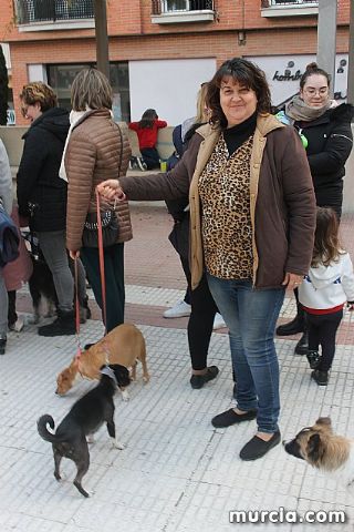 Bendicin de animales San Antn Totana 2020 - 311