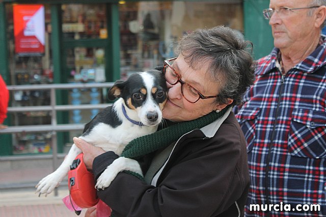 Bendicin de animales San Antn Totana 2020 - 314