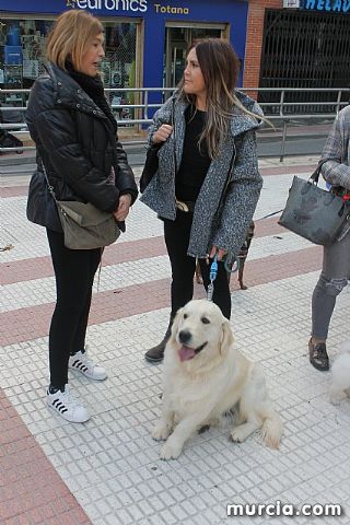 Bendicin de animales San Antn Totana 2020 - 315