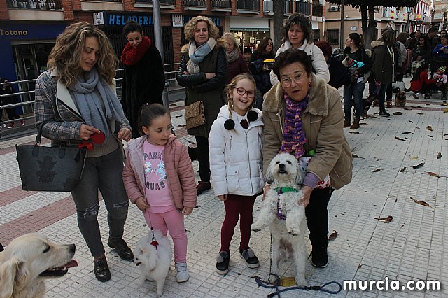 Bendicin de animales San Antn Totana 2020 - 317