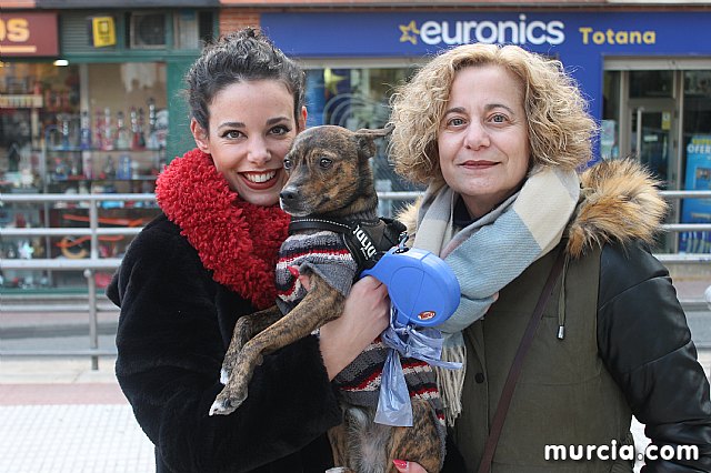 Bendicin de animales San Antn Totana 2020 - 319