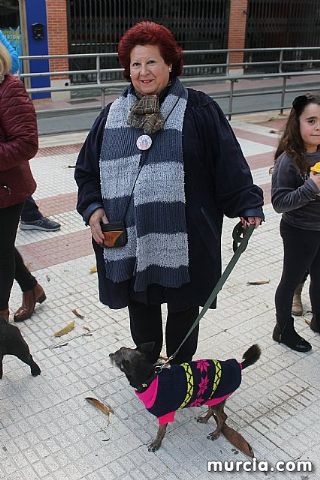 Bendicin de animales San Antn Totana 2020 - 320