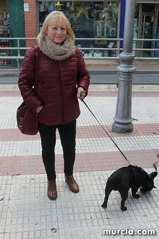 Bendicin de animales San Antn Totana 2020 - 321