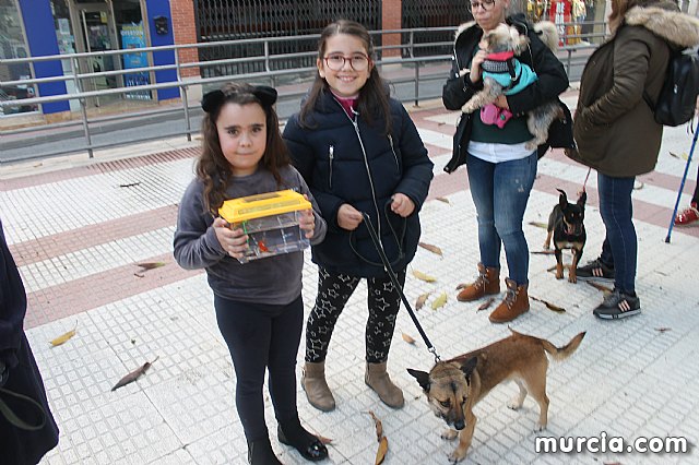 Bendicin de animales San Antn Totana 2020 - 323