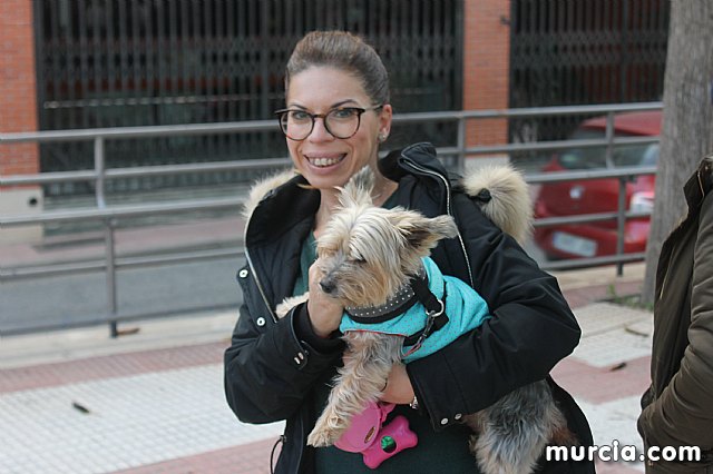 Bendicin de animales San Antn Totana 2020 - 324