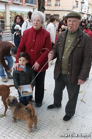 Bendicin de animales San Antn Totana 2020 - 329