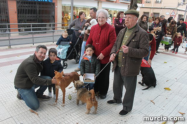 Bendicin de animales San Antn Totana 2020 - 330