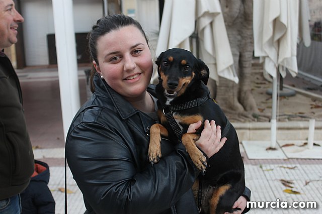 Bendicin de animales San Antn Totana 2020 - 331