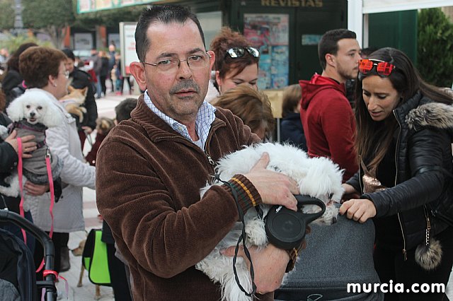 Bendicin de animales San Antn Totana 2020 - 332