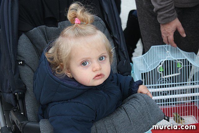 Bendicin de animales San Antn Totana 2020 - 333