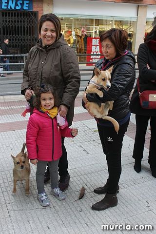 Bendicin de animales San Antn Totana 2020 - 341