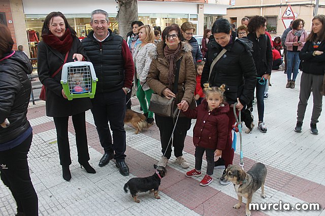Bendicin de animales San Antn Totana 2020 - 342