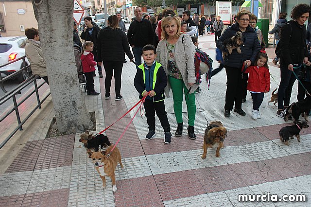 Bendicin de animales San Antn Totana 2020 - 344