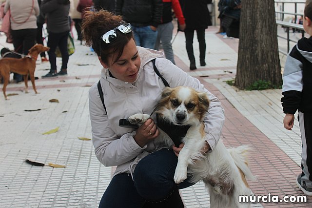 Bendicin de animales San Antn Totana 2020 - 346
