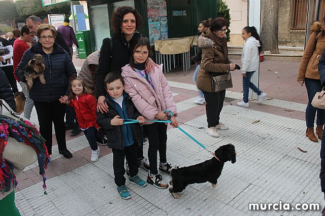 Bendicin de animales San Antn Totana 2020 - 348