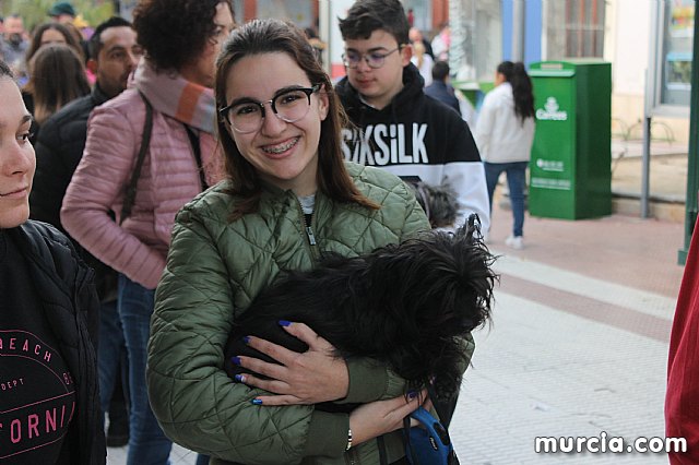 Bendicin de animales San Antn Totana 2020 - 349