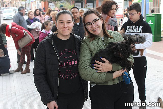 Bendicin de animales San Antn Totana 2020 - 350