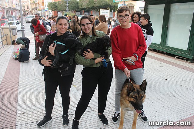 Bendicin de animales San Antn Totana 2020 - 351