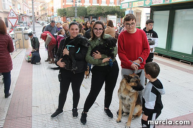 Bendicin de animales San Antn Totana 2020 - 352