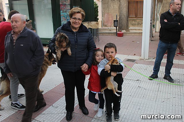 Bendicin de animales San Antn Totana 2020 - 353