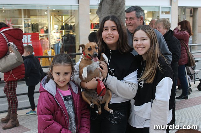 Bendicin de animales San Antn Totana 2020 - 357