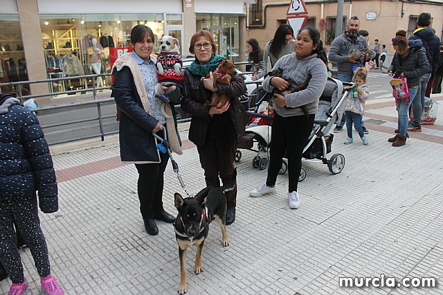 Bendicin de animales San Antn Totana 2020 - 359