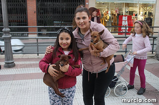 Bendicin de animales San Antn Totana 2020 - 361