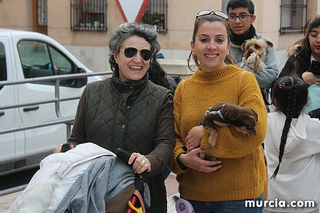 Bendicin de animales San Antn Totana 2020 - 375