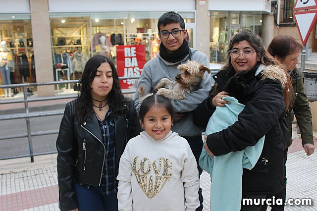 Bendicin de animales San Antn Totana 2020 - 377