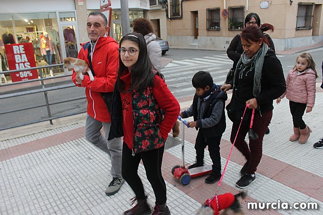 Bendicin de animales San Antn Totana 2020 - 379