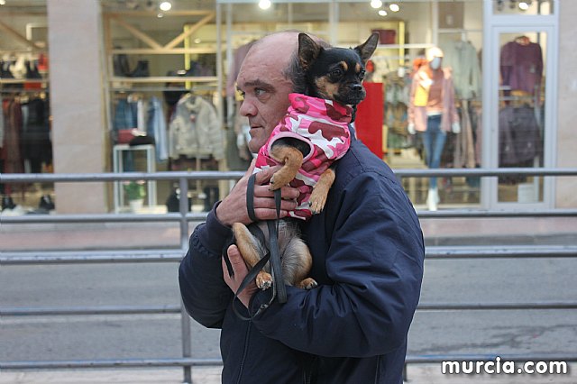 Bendicin de animales San Antn Totana 2020 - 384