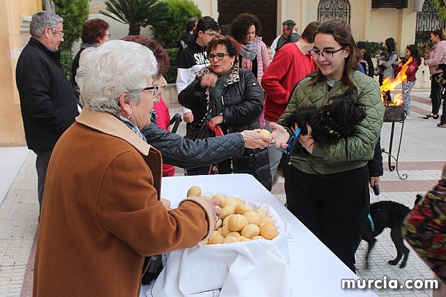 Bendicin de animales San Antn Totana 2020 - 388