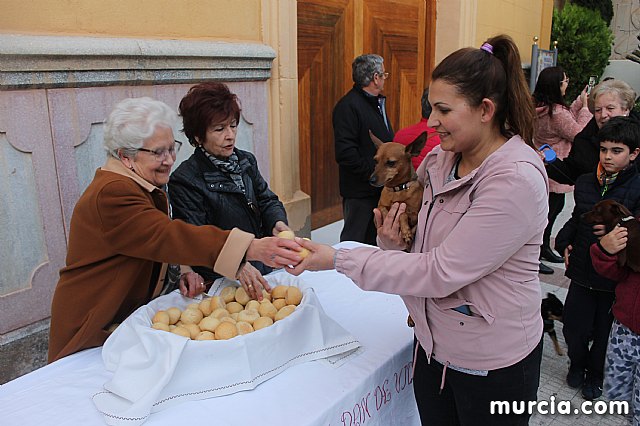 Bendicin de animales San Antn Totana 2020 - 392