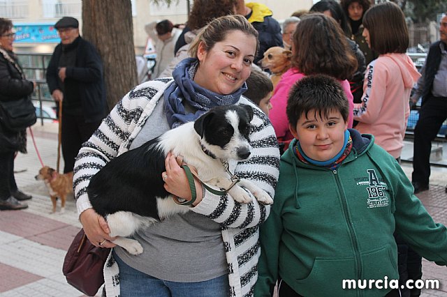 Bendicin de animales San Antn Totana 2020 - 406