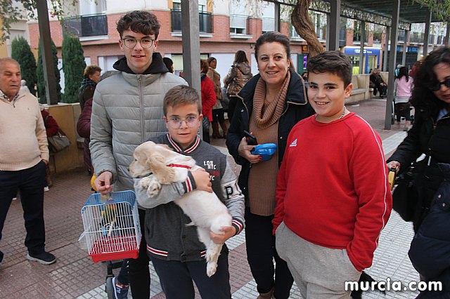 Bendicin de animales San Antn Totana 2020 - 418