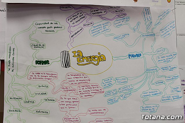 Celebracin del aprendizaje - Colegio La Milagrosa 2019 - 40