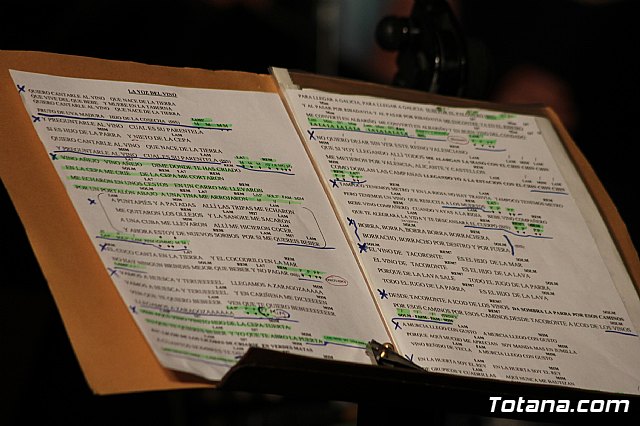 As canta Totana - Fiestas de Santiago 2013 - 52