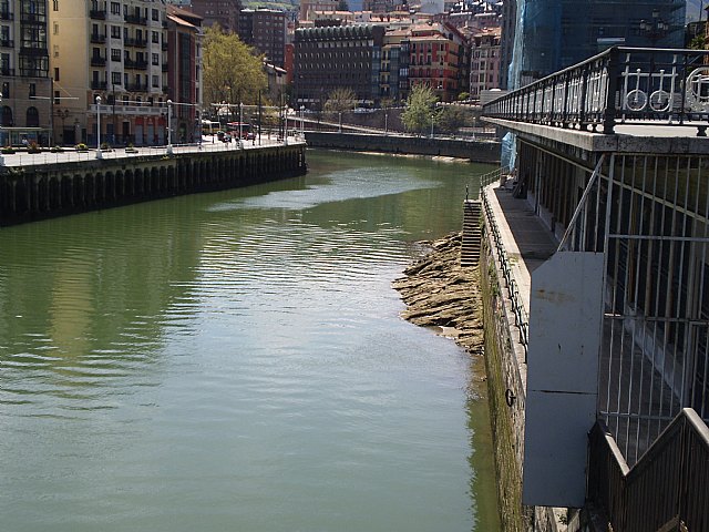 La Pea Athletic de Totana emprendi un viaje a Bilbao para asistir al encuentro entre los equipos del Athletic y el Real Madrid - 16