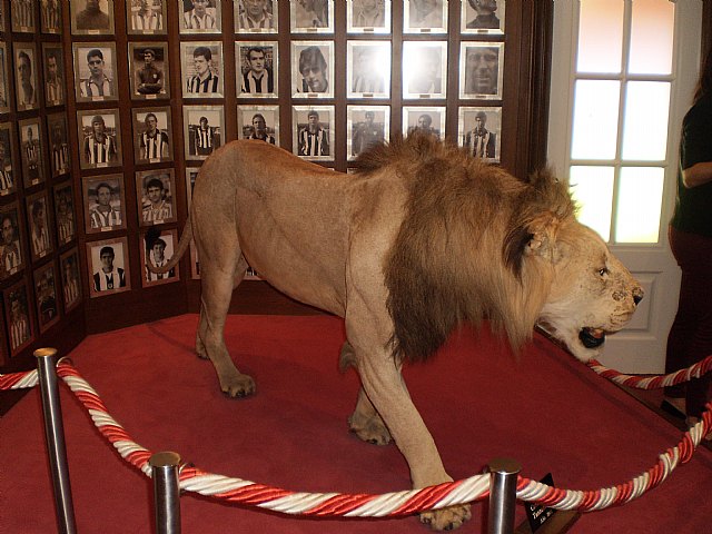 La Pea Athletic de Totana emprendi un viaje a Bilbao para asistir al encuentro entre los equipos del Athletic y el Real Madrid - 59