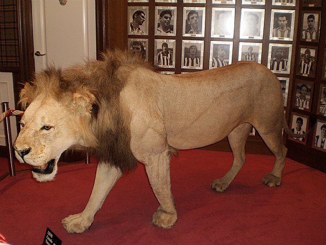 La Pea Athletic de Totana emprendi un viaje a Bilbao para asistir al encuentro entre los equipos del Athletic y el Real Madrid - 60