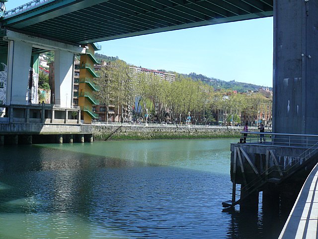 La Pea Athletic de Totana emprendi un viaje a Bilbao para asistir al encuentro entre los equipos del Athletic y el Real Madrid - 264