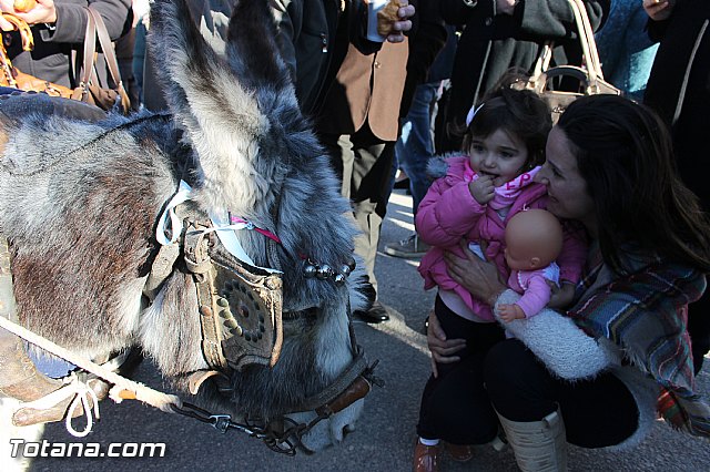 Auto de los Reyes Magos - El Paretn - Cantareros 2016 - 44