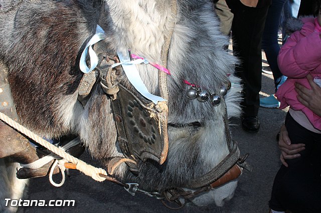Auto de los Reyes Magos - El Paretn - Cantareros 2016 - 45