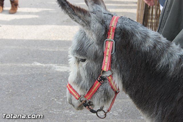 Auto de los Reyes Magos - El Paretn - Cantareros 2016 - 182